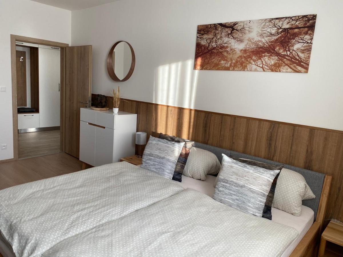 Apartment Petra Klinovec Loucna pod Klinovcem Ngoại thất bức ảnh